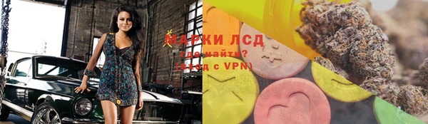 spice Баксан